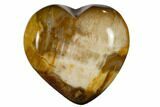 Polished, Triassic Petrified Wood Heart - Madagascar #115519-1